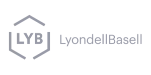 LOGO-LYB