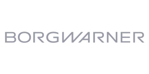LOGOS-BORGW
