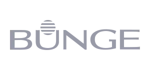 LOGOS-BUNGE